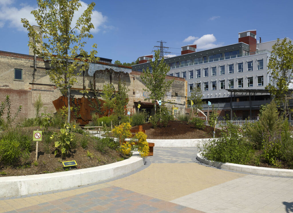 View of the Commons area with new landscaping
