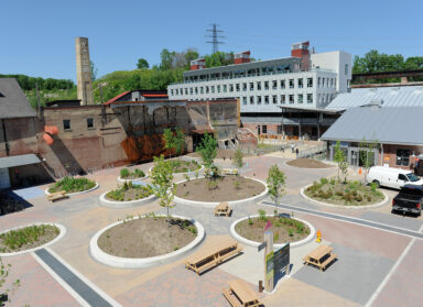 View of the Commons area with new landscaping