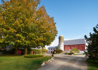 Exterior driveway and barn of Cambium Farms