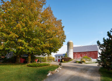 Exterior driveway and barn of Cambium Farms