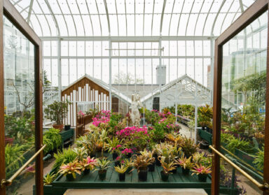 Greenhouse at the Parkwood Estate National Historic Site.