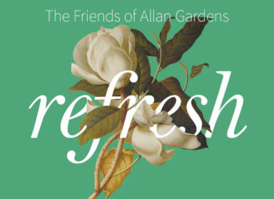 Friends of Allan Gardens refresh cover