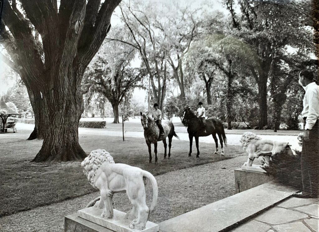 black and white photo of 2 people on horse back on a grass lawn, steps and lion statues in foreground
